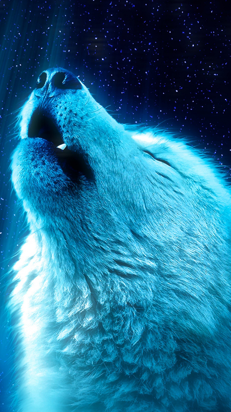 Ours, Carnivores, Azure, Blue, Moustache. Wallpaper in 750x1334 Resolution