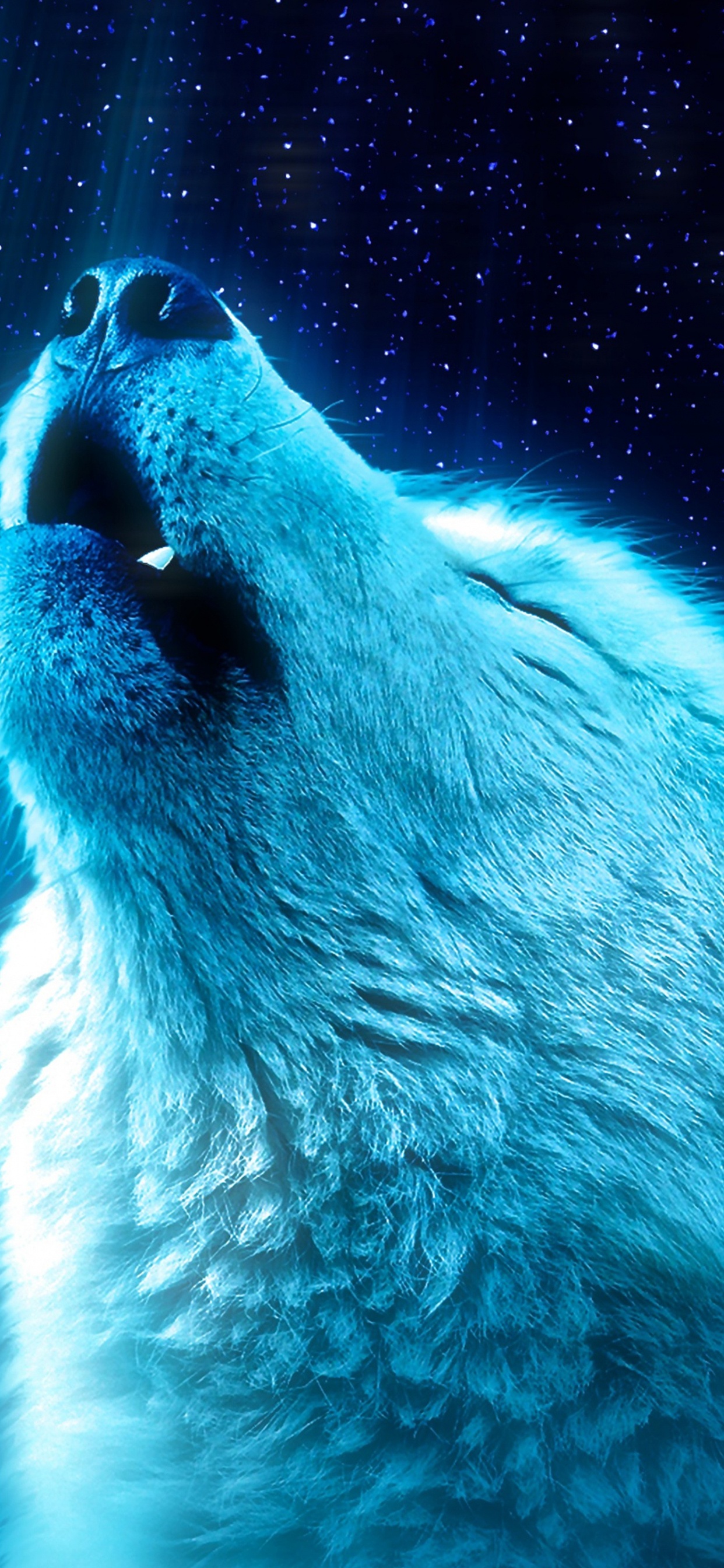 Wolf, Polar Bear, Carnivore, Azure, Blue. Wallpaper in 1242x2688 Resolution