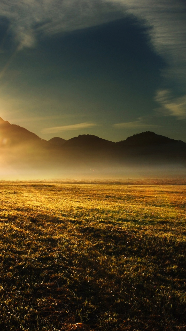 Green Grass Field During Sunrise. Wallpaper in 720x1280 Resolution