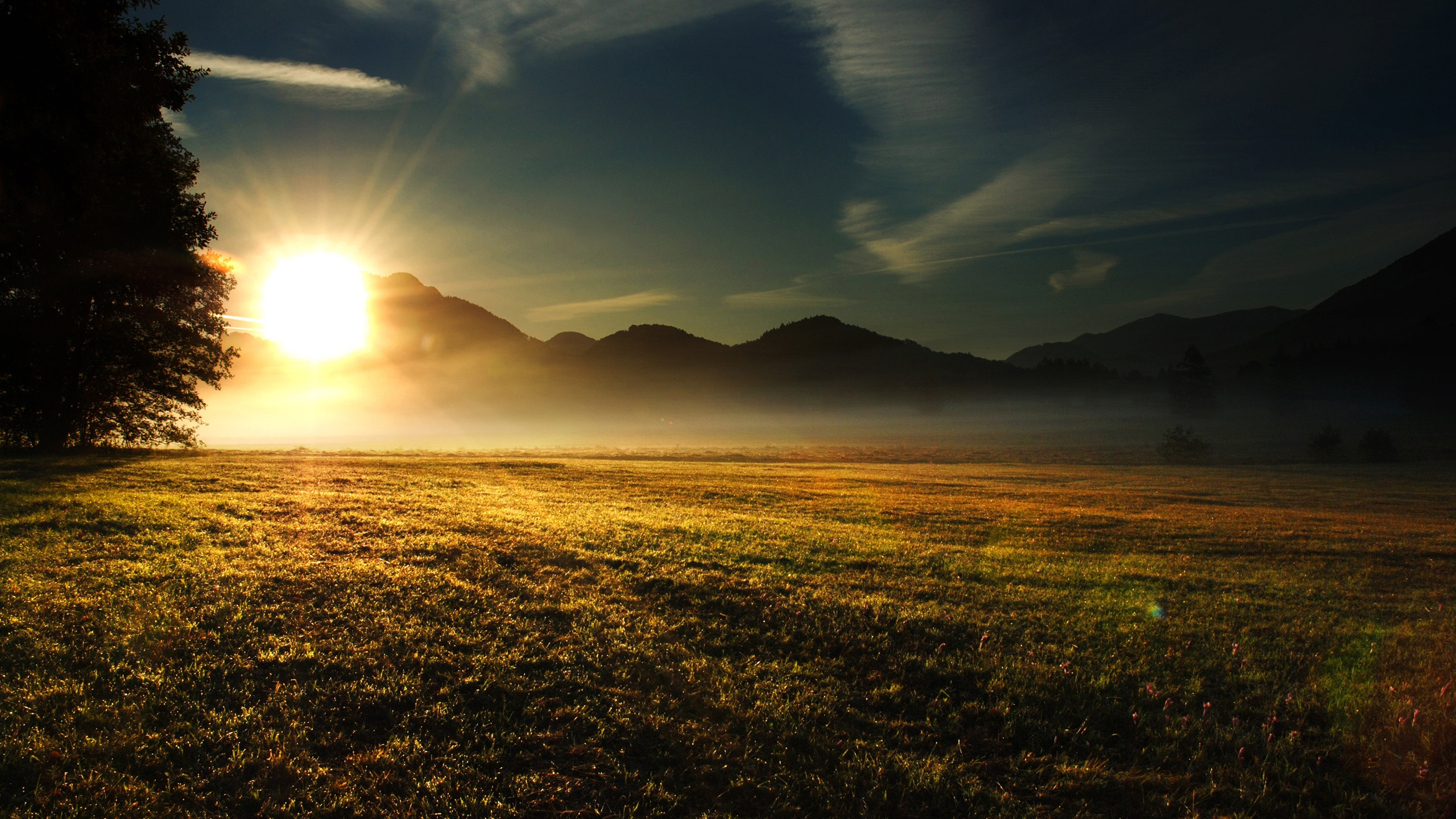 Grüne Wiese Bei Sonnenaufgang. Wallpaper in 2560x1440 Resolution