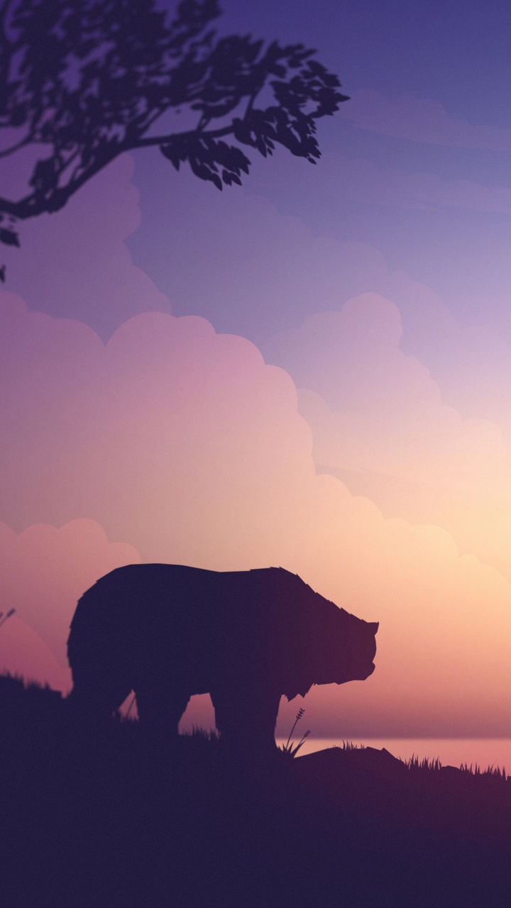 Silhouette de Montagne Pendant le Coucher du Soleil. Wallpaper in 720x1280 Resolution