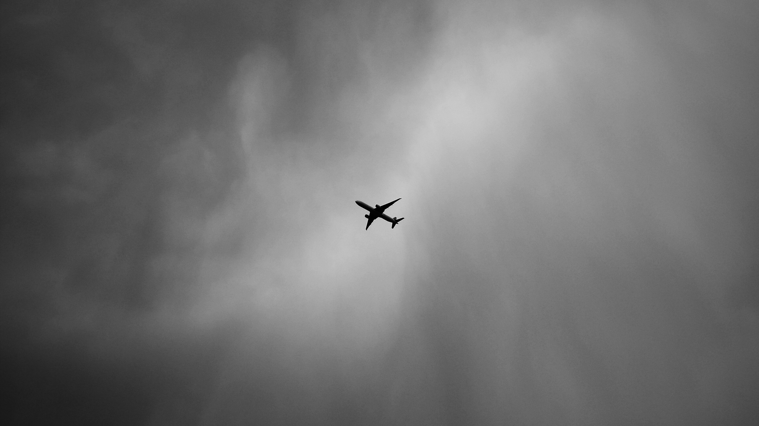 Avion Noir Dans Les Airs. Wallpaper in 2560x1440 Resolution