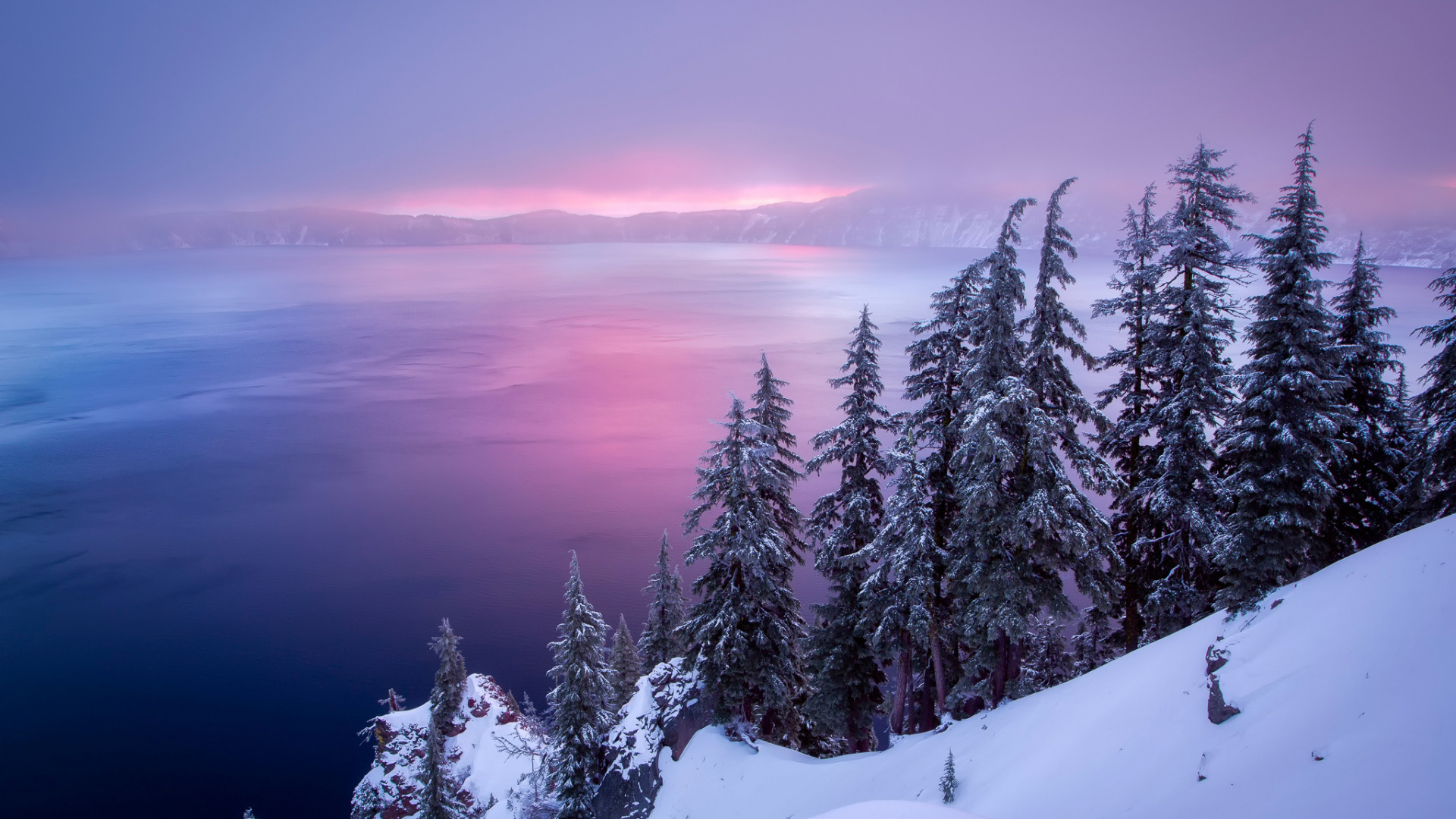 Snow Covered Pine Trees Near Body of Water During Daytime. Wallpaper in 1920x1080 Resolution