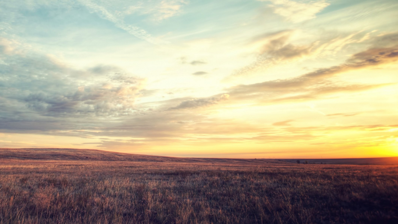 Brown Grass Field Under Blue Sky During Daytime. Wallpaper in 1366x768 Resolution
