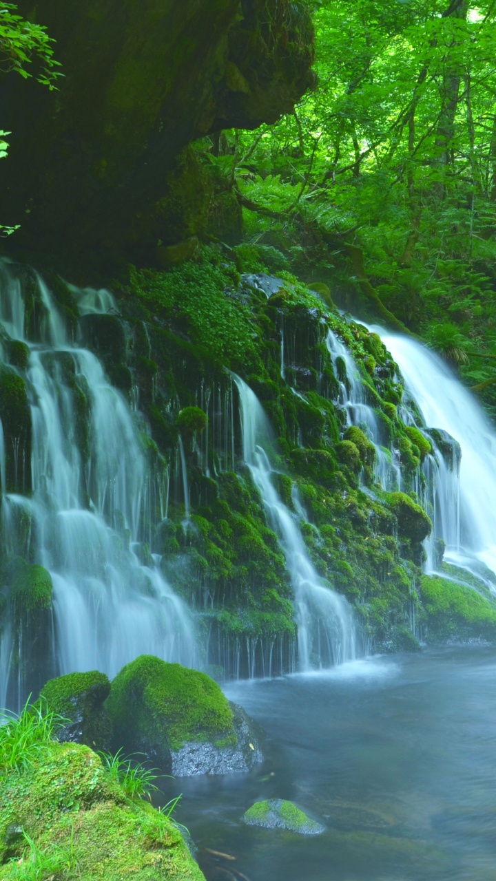 L'eau Tombe au Milieu Des Arbres Verts. Wallpaper in 720x1280 Resolution