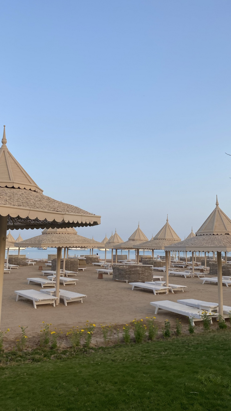 Roof, Plant, Shade, Leisure, Horizon. Wallpaper in 750x1334 Resolution