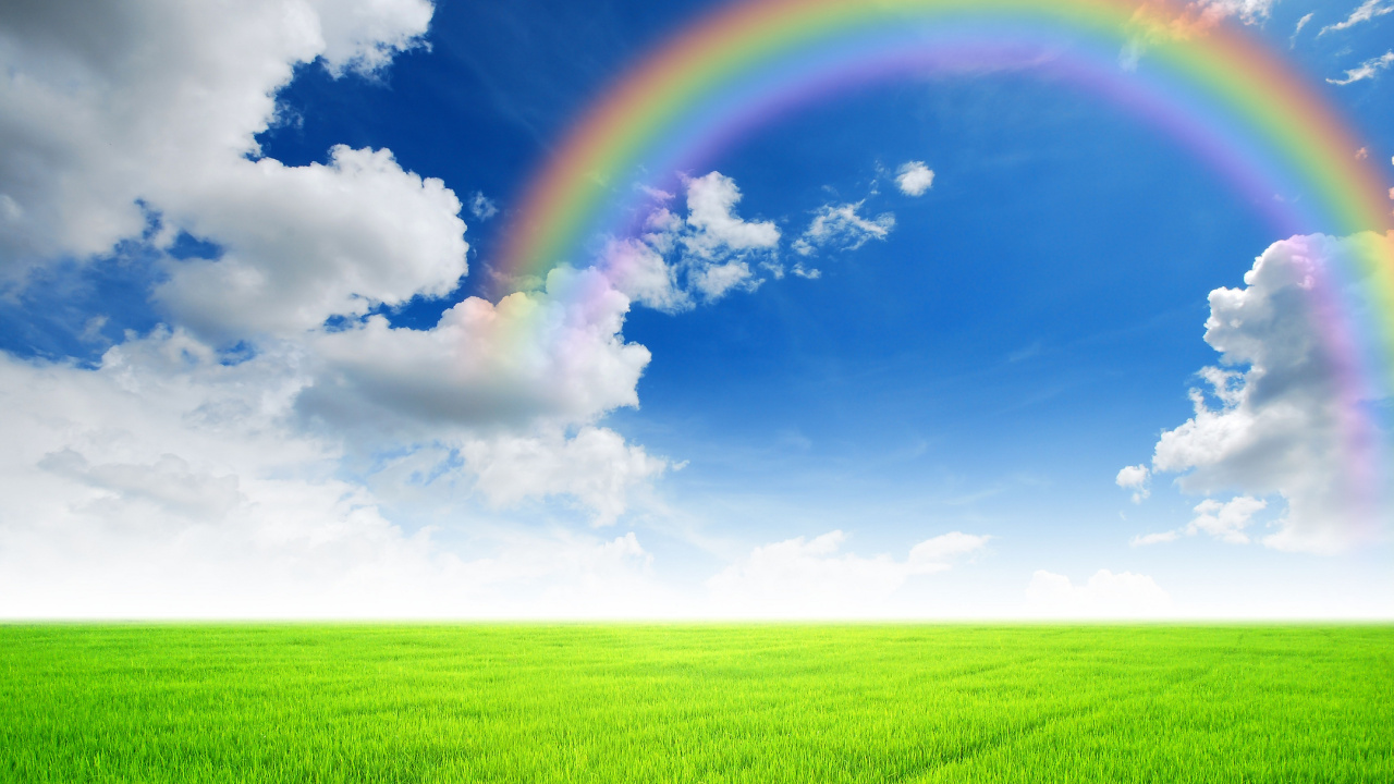 彩虹, 绿色的, 草, 天空, 放牧 壁纸 1280x720 允许