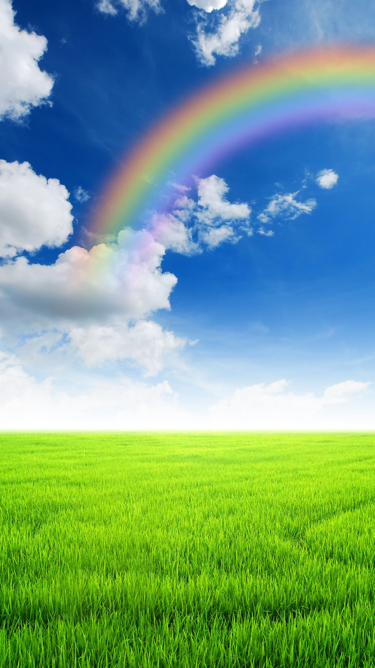 彩虹, 绿色的, 草, 天空, 放牧 壁纸 750x1334 允许
