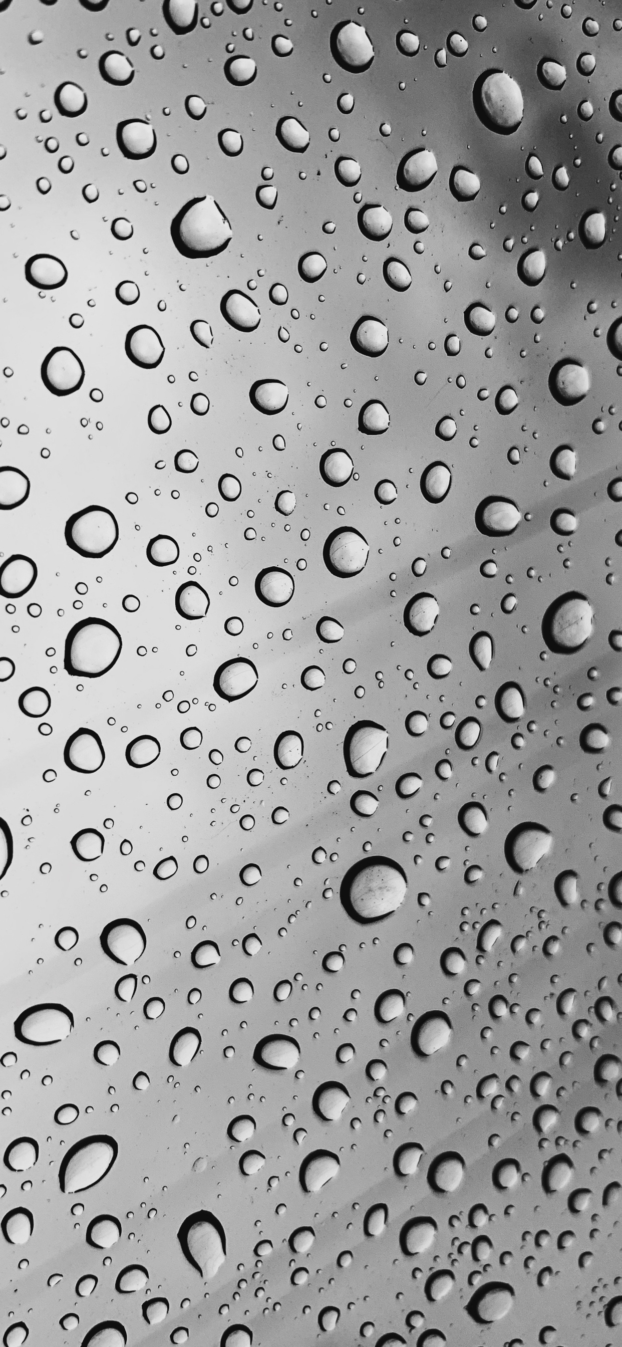 Eau, Rosée, Pluie, Métal, Humidité. Wallpaper in 1242x2688 Resolution