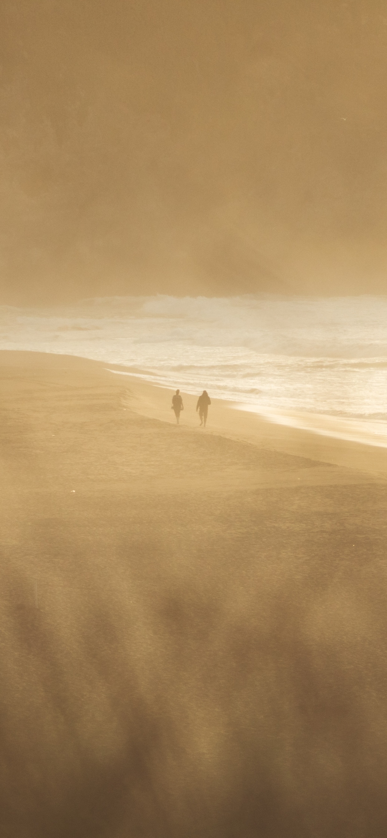 Person Walking on Sand Near Body of Water During Daytime. Wallpaper in 1242x2688 Resolution