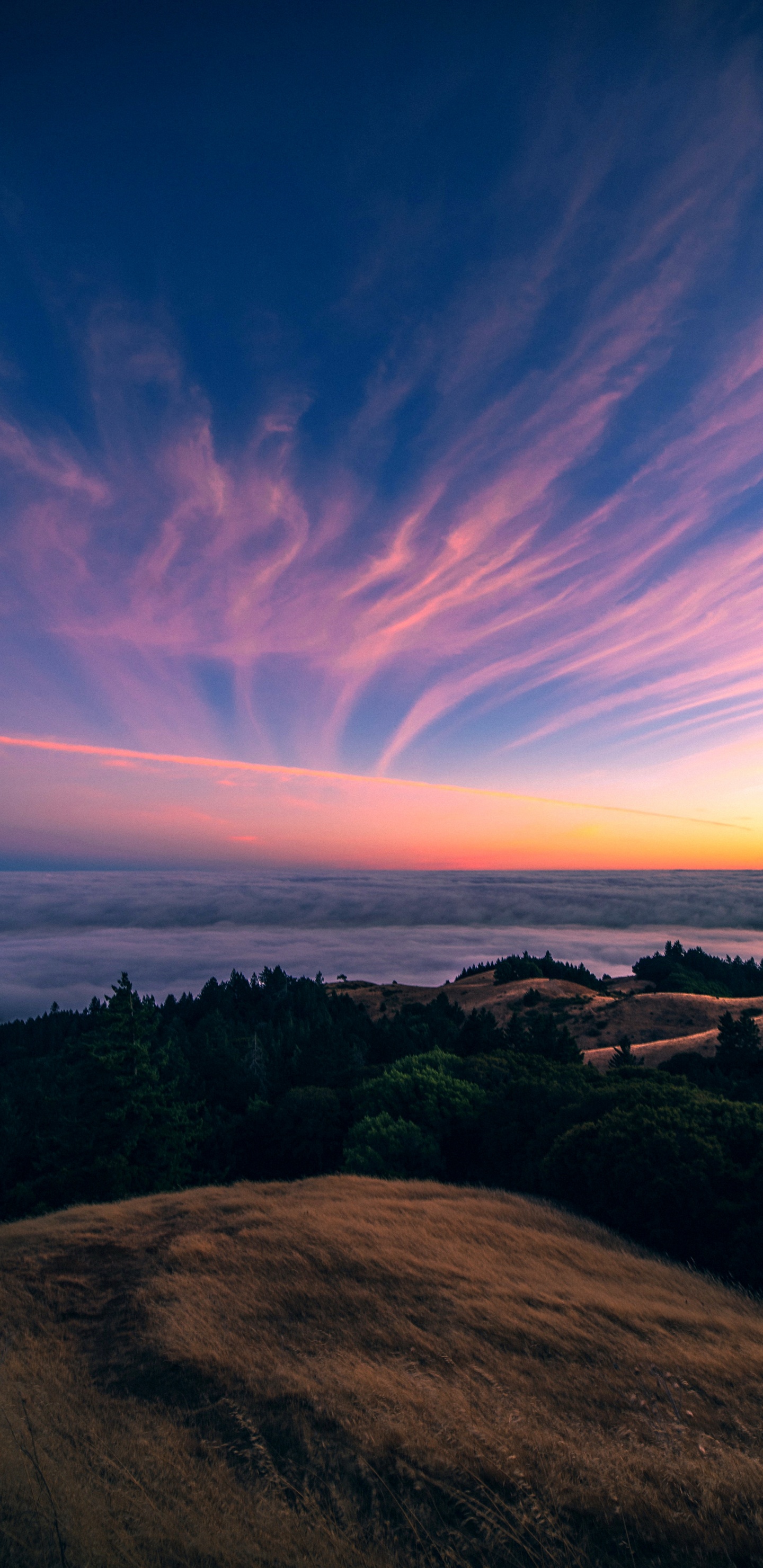 Nature, Aesthetics, Cloud, Atmosphere, Natural Landscape. Wallpaper in 1440x2960 Resolution