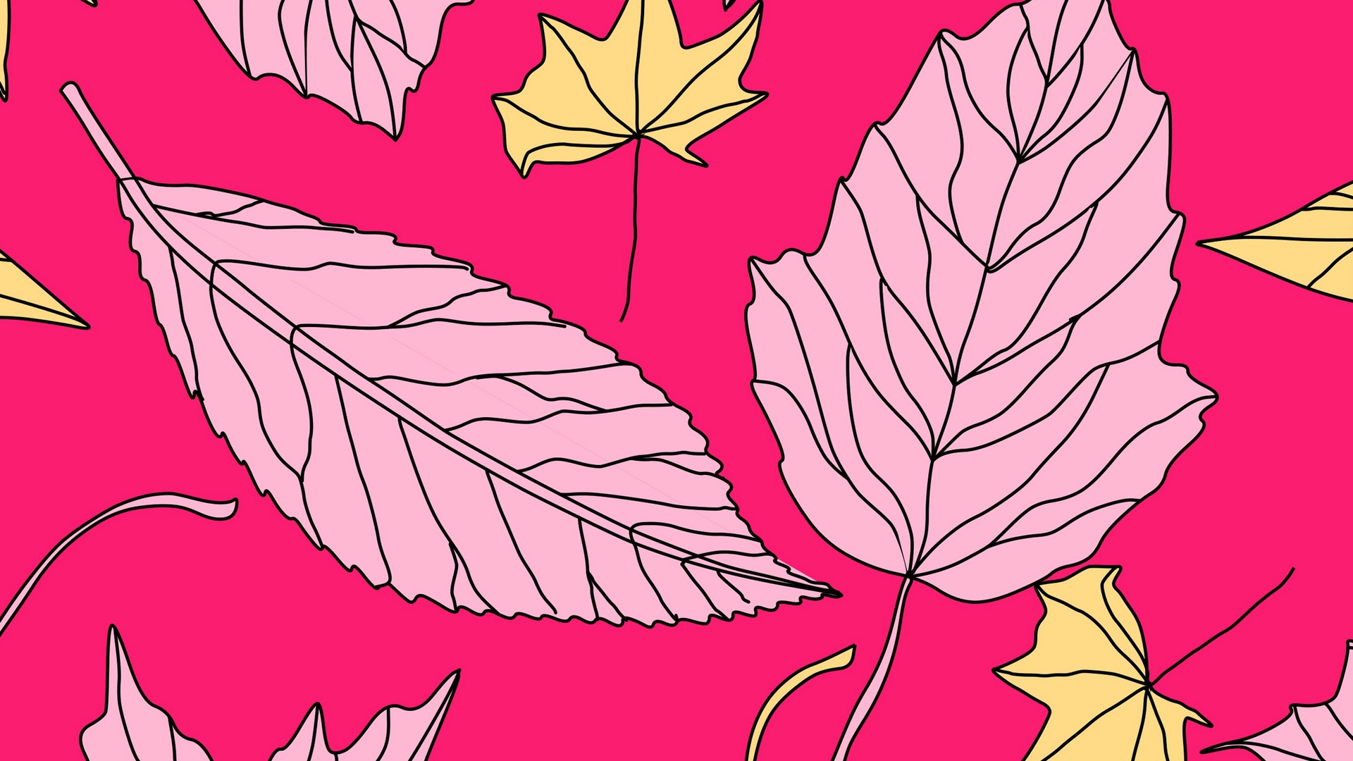 Rote Und Weiße Vogelillustration. Wallpaper in 1920x1080 Resolution