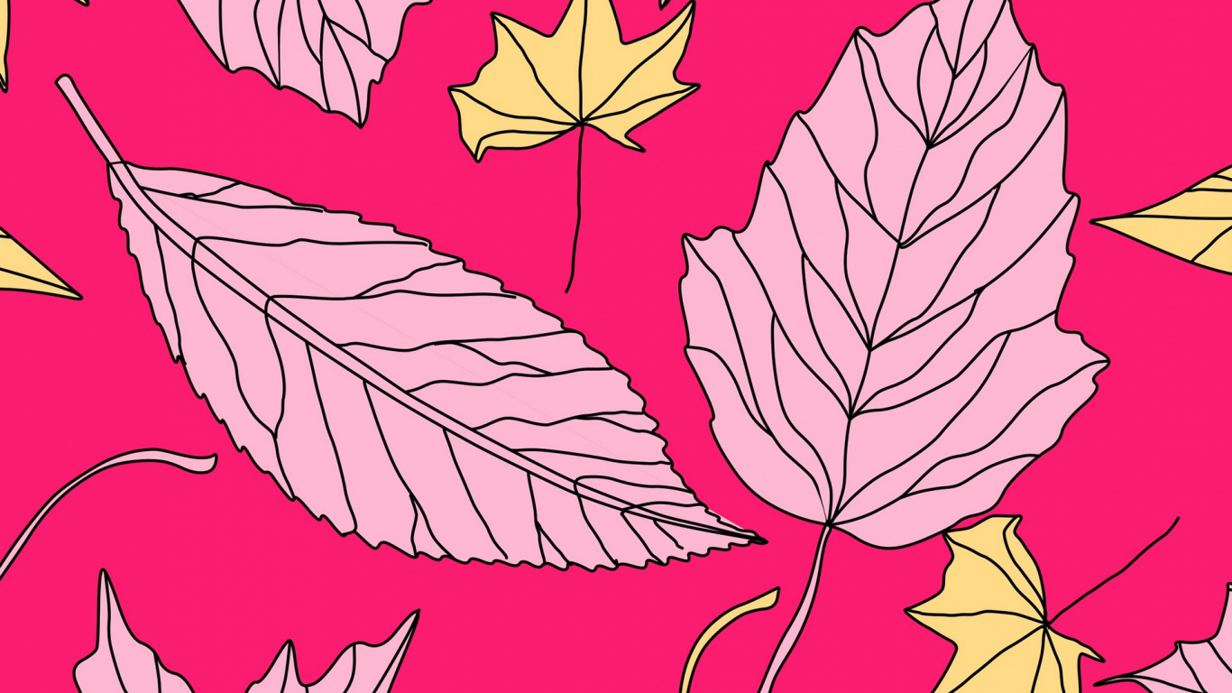 Illustration D'oiseau Rouge et Blanc. Wallpaper in 1366x768 Resolution