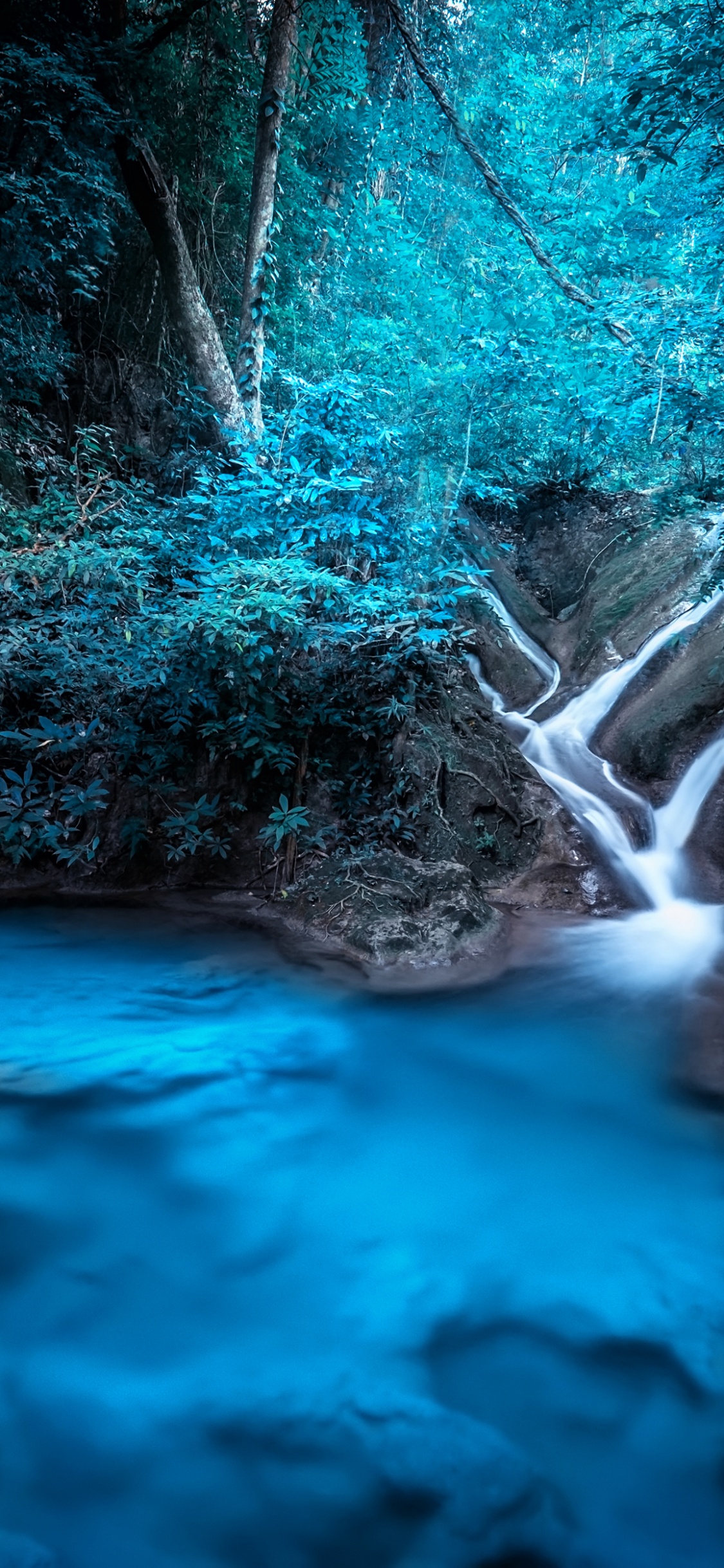 Kanchanaburi, la Selva Tropical, Cascada, Selva, Cuerpo de Agua. Wallpaper in 1125x2436 Resolution