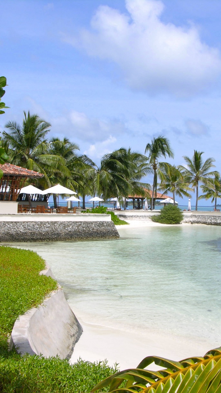 Casa de Madera Blanca y Marrón Cerca Del Cuerpo de Agua Durante el Día. Wallpaper in 720x1280 Resolution