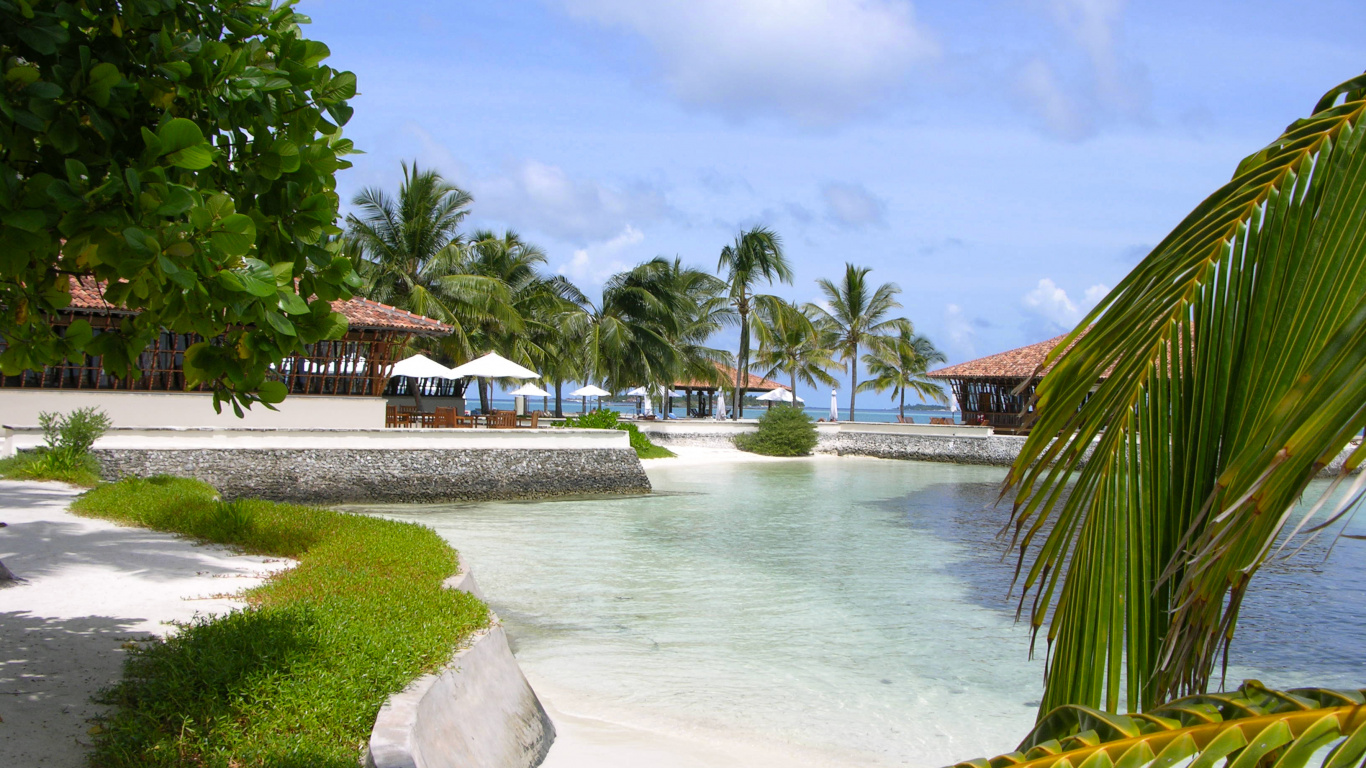 度假村, 热带地区, 加勒比, 度假, 游泳池 壁纸 1366x768 允许