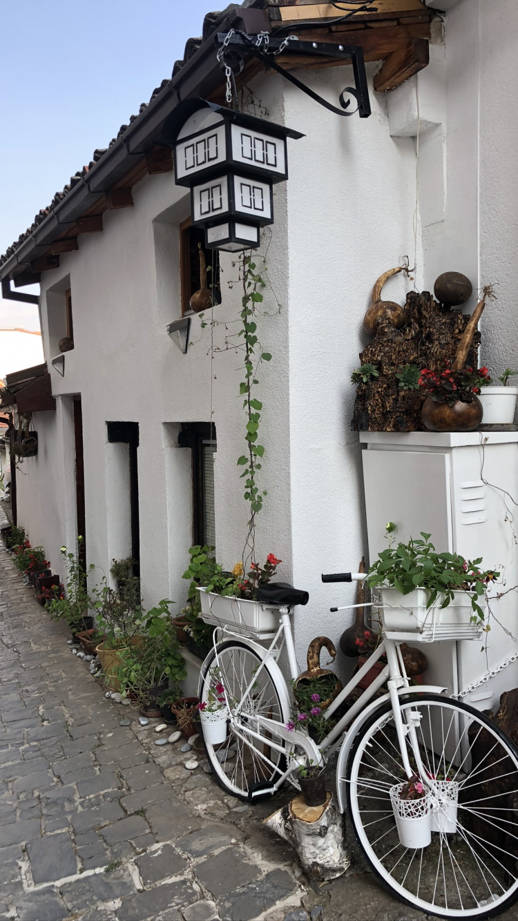 Fahrradverleih, Radfahren, Rennrad, Street, Hybrid Fahrrad. Wallpaper in 750x1334 Resolution