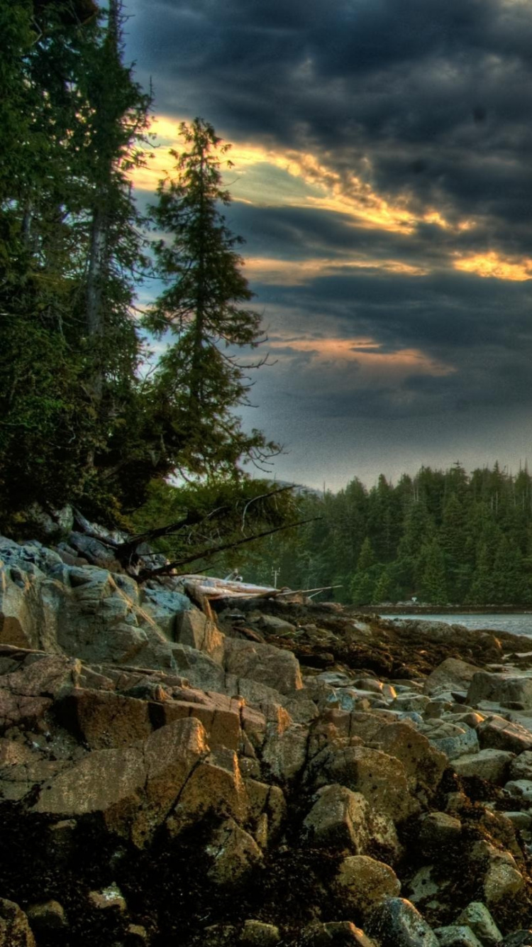 Green Trees Near River During Sunset. Wallpaper in 750x1334 Resolution