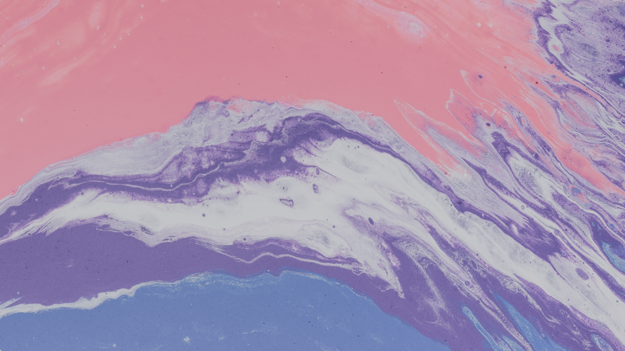 丙烯酸涂料, 粉红色, 紫色的, 气氛, 大海 壁纸 2560x1440 允许