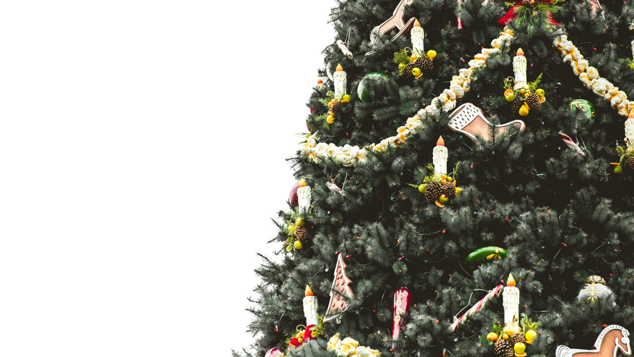 El Día De Navidad, la Navidad y la Temporada de Vacaciones, Planta Leñosa, Evergreen, Decoración de la Navidad. Wallpaper in 1280x720 Resolution