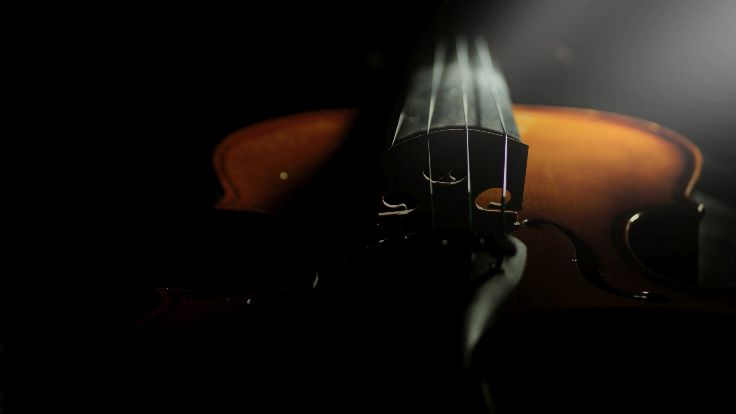 Violin, Cello, String Instrument, Violin Family, Bowed String Instrument. Wallpaper in 2560x1440 Resolution