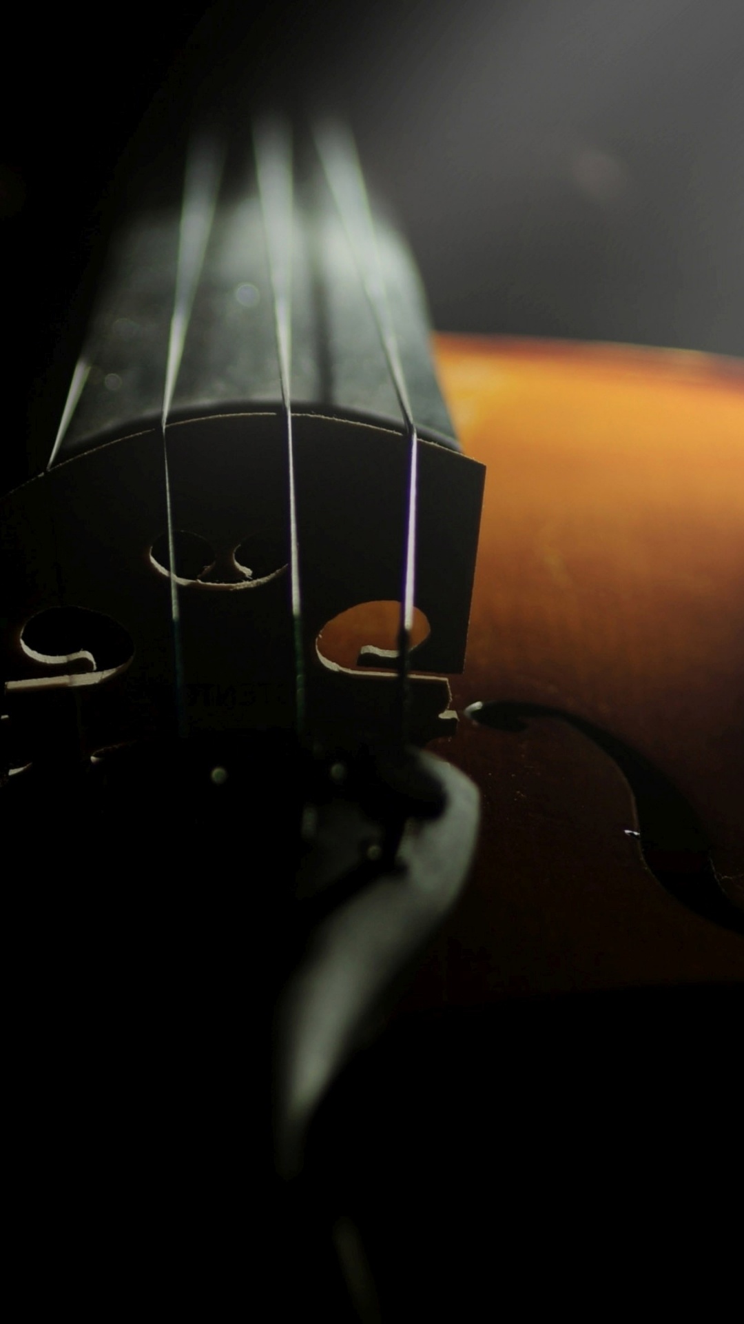 Cello, Violine Familie, Streichinstrument, Musik, Klassische Musik. Wallpaper in 1080x1920 Resolution