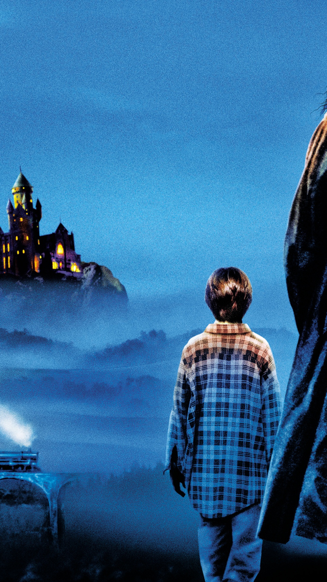 Harry Potter, Hogwarts, Plaid, Tartan, Back. Wallpaper in 1080x1920 Resolution