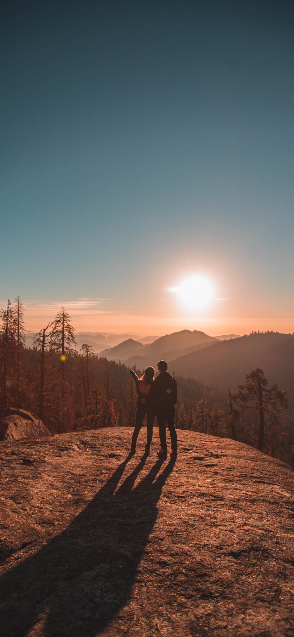 Nature, Tree, Wilderness, Mountain, Morning. Wallpaper in 1125x2436 Resolution