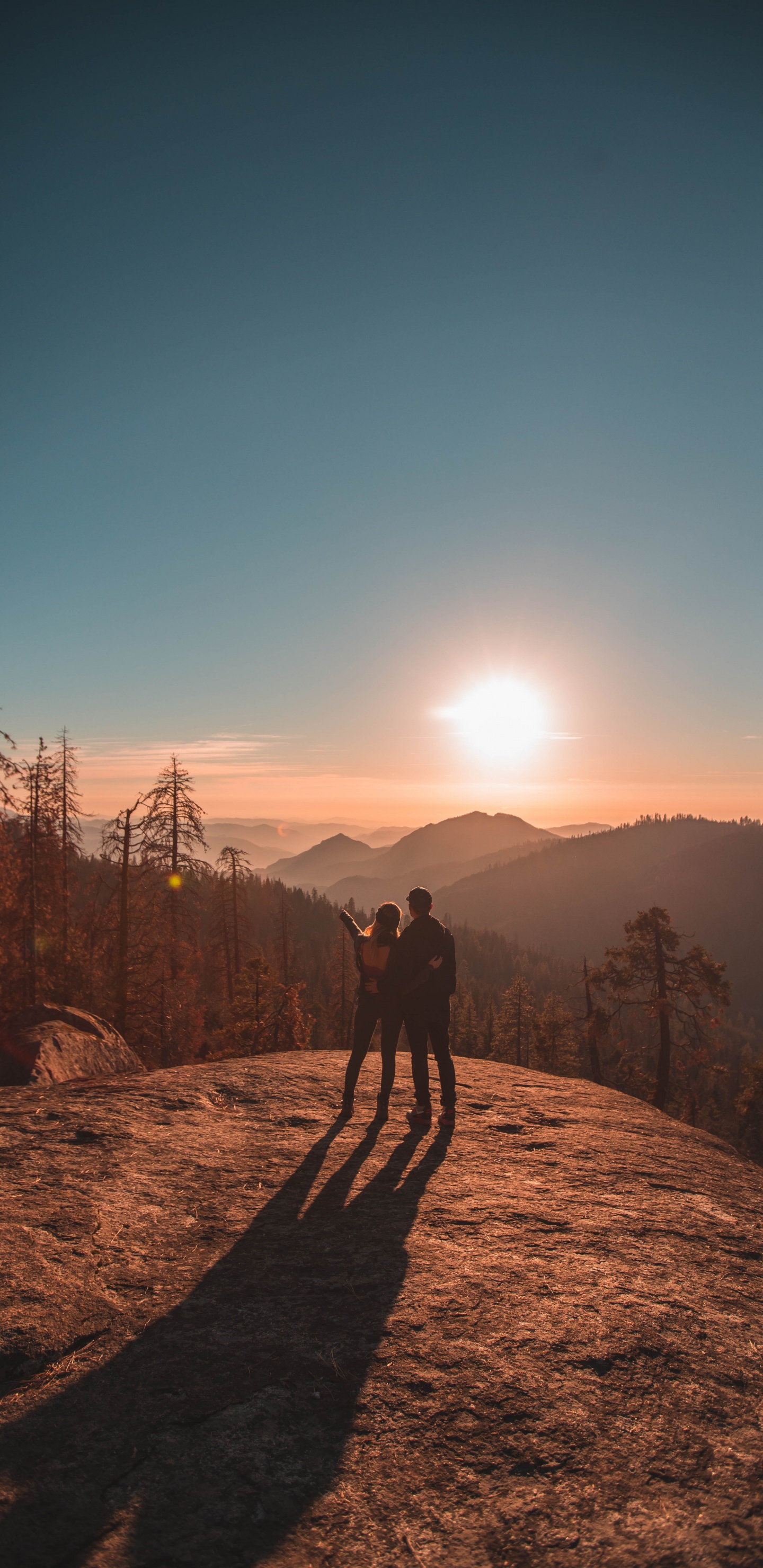 Nature, Tree, Wilderness, Mountain, Morning. Wallpaper in 1440x2960 Resolution