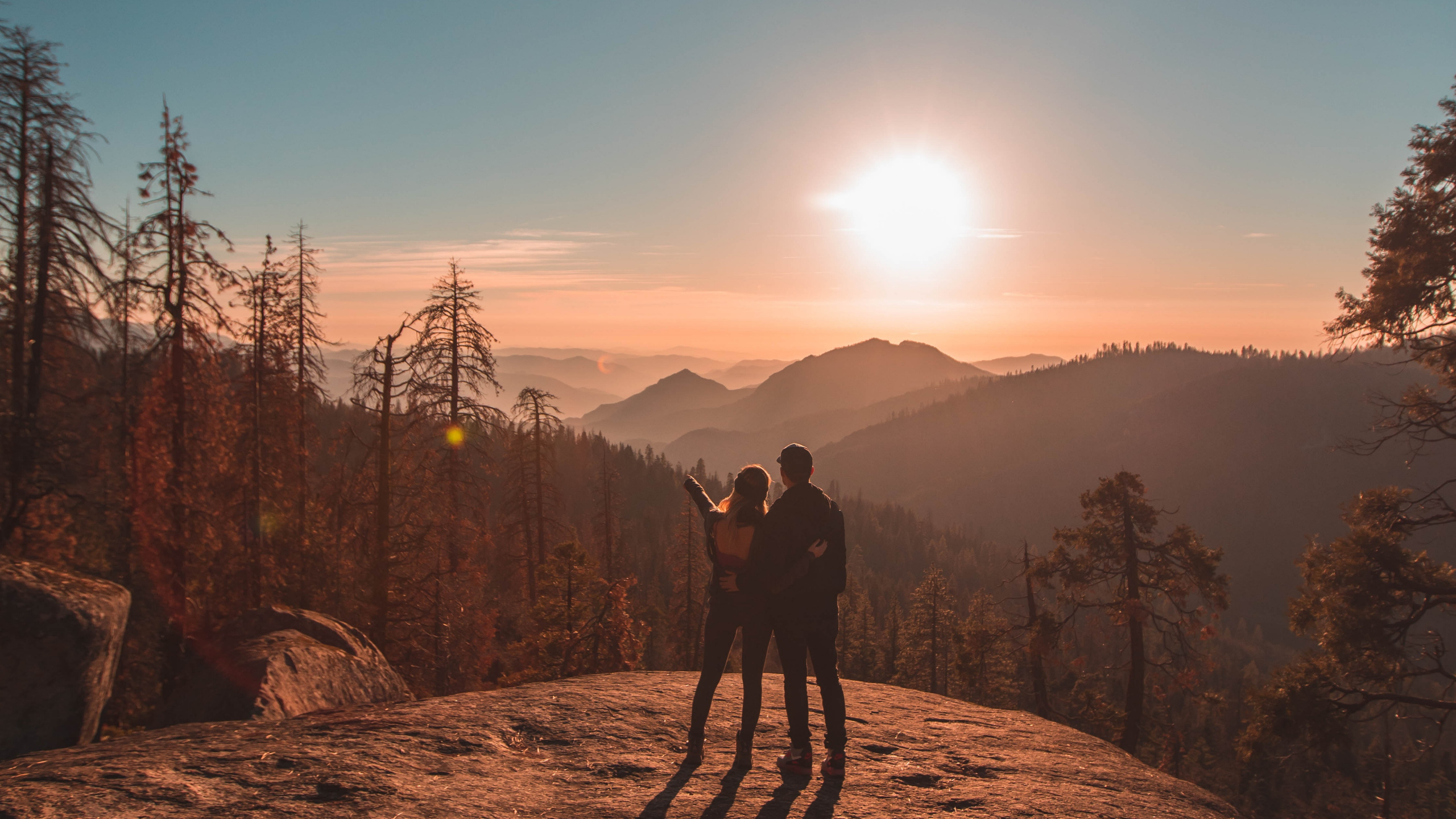 Nature, Tree, Wilderness, Mountain, Morning. Wallpaper in 2560x1440 Resolution