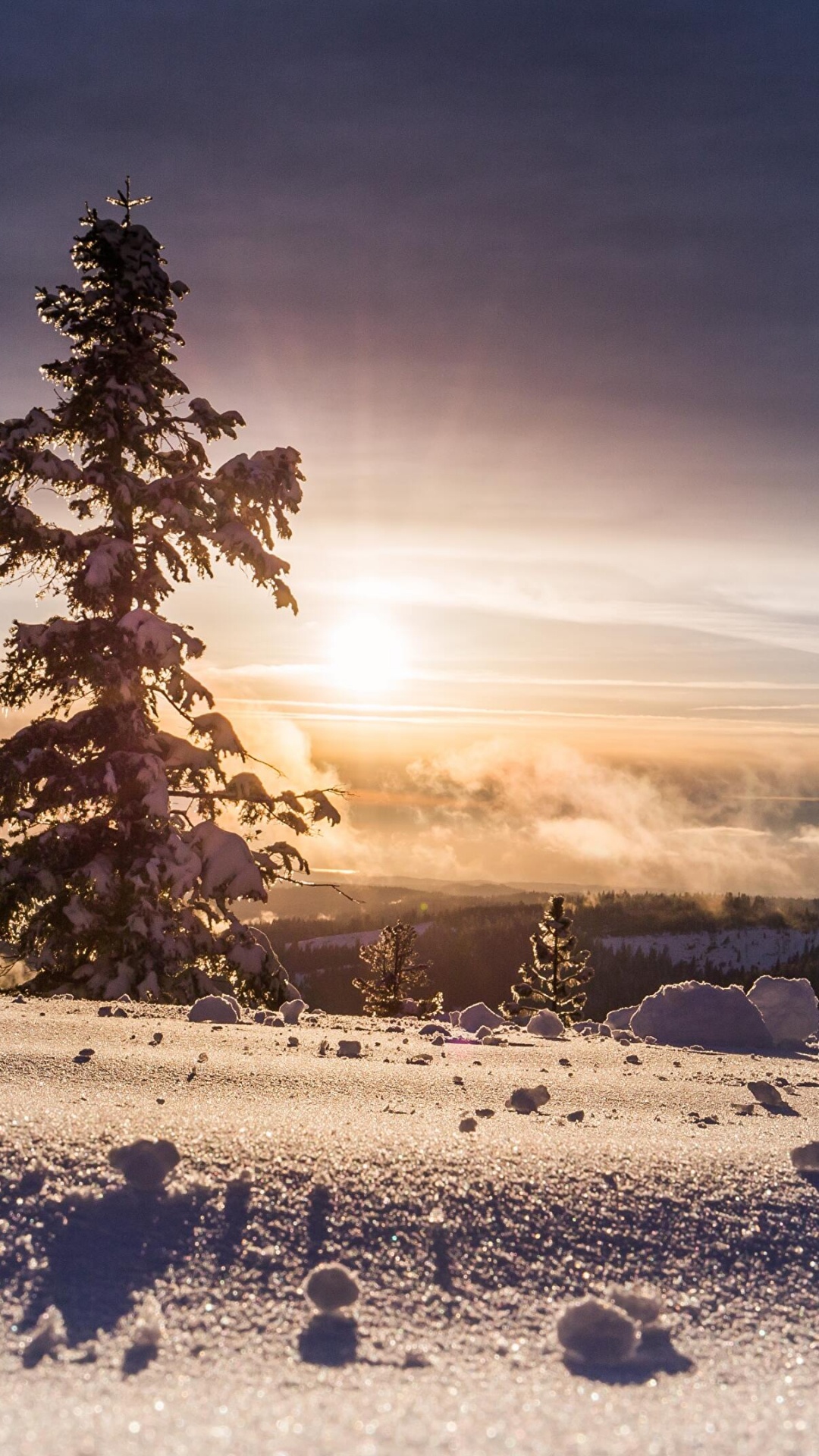 né Jésus Noël, Le Jour De Noël, Nativité de Jésus, Arbre de Noël, Hiver. Wallpaper in 1080x1920 Resolution