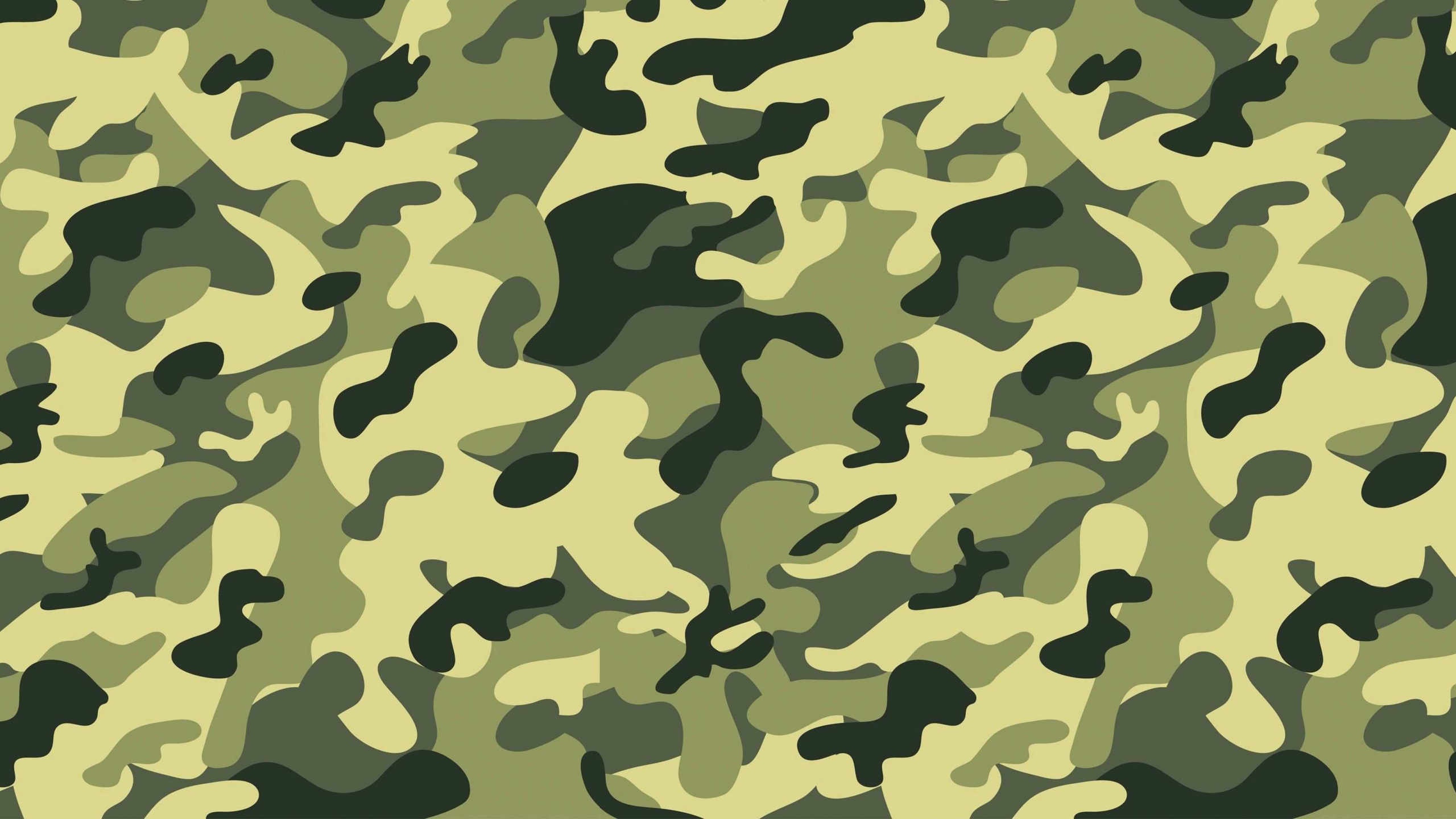 Green and Black Abstract Painting. Wallpaper in 2560x1440 Resolution