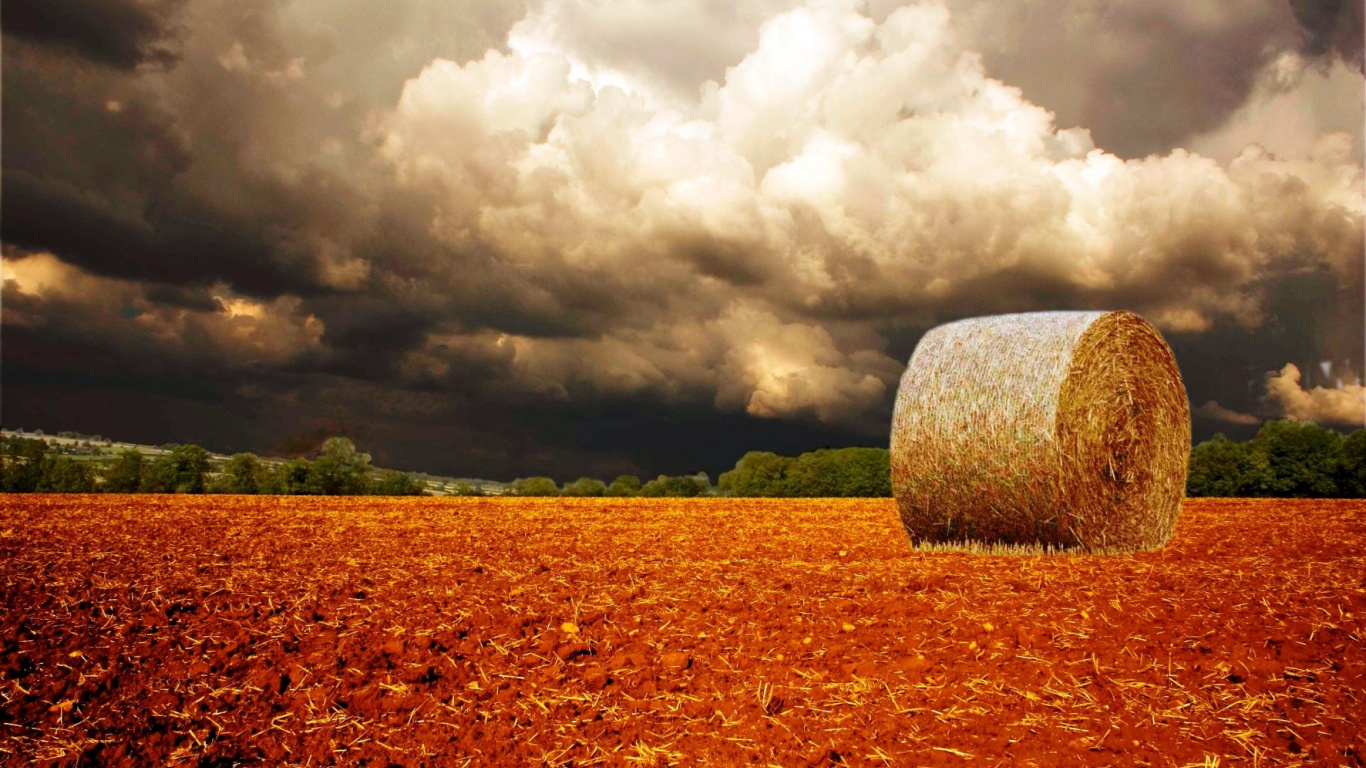 Braunes Heu Auf Braunem Feld Unter Weißen Wolken. Wallpaper in 1366x768 Resolution
