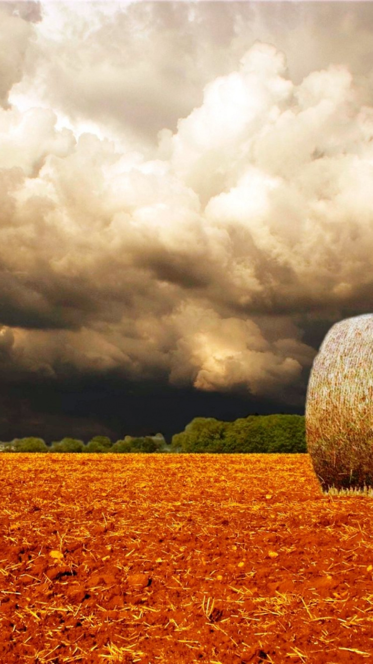 Braunes Heu Auf Braunem Feld Unter Weißen Wolken. Wallpaper in 750x1334 Resolution