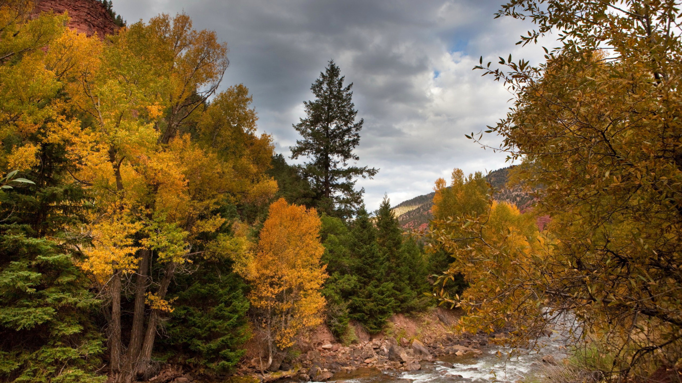 Arbres Verts et Jaunes à Côté de la Rivière Sous un Ciel Nuageux Pendant la Journée. Wallpaper in 1366x768 Resolution