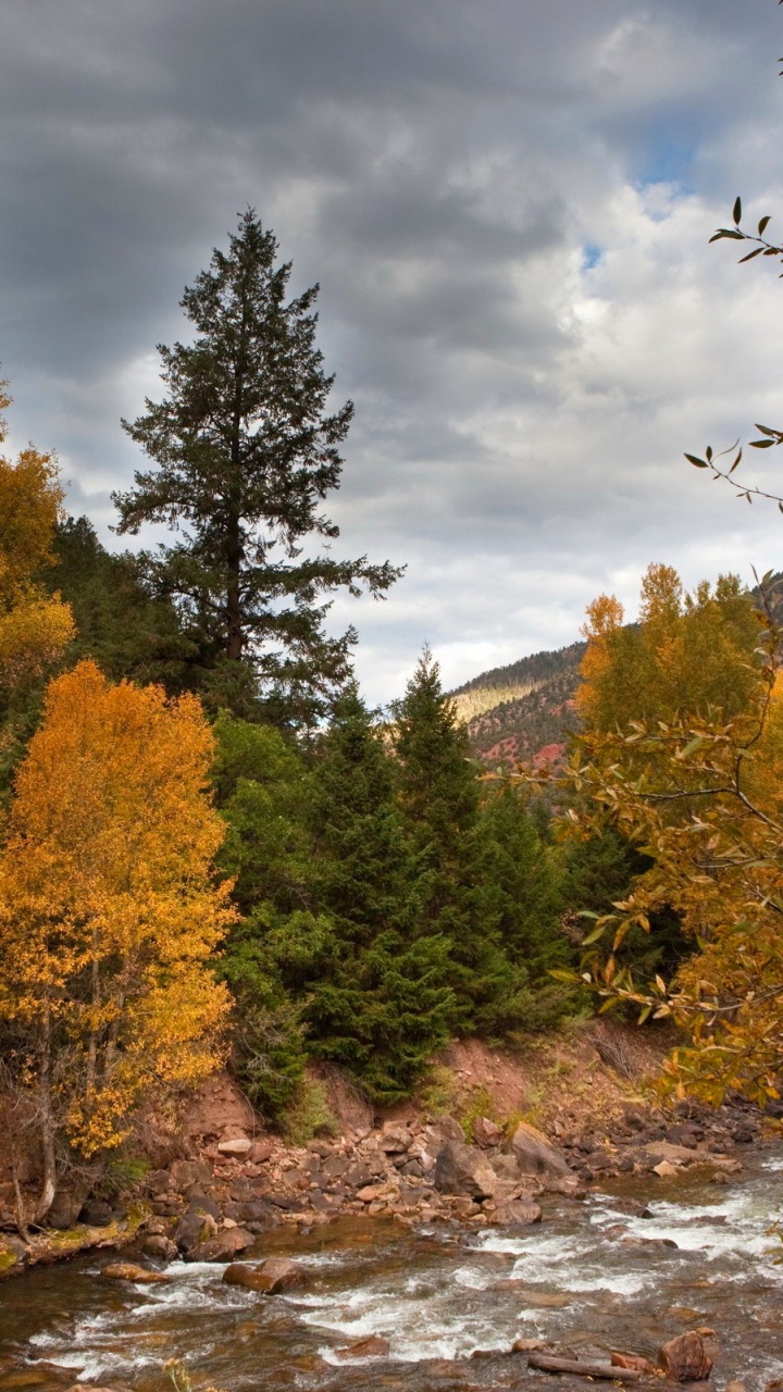 Grüne Und Gelbe Bäume Neben Dem Fluss Unter Bewölktem Himmel Tagsüber. Wallpaper in 720x1280 Resolution
