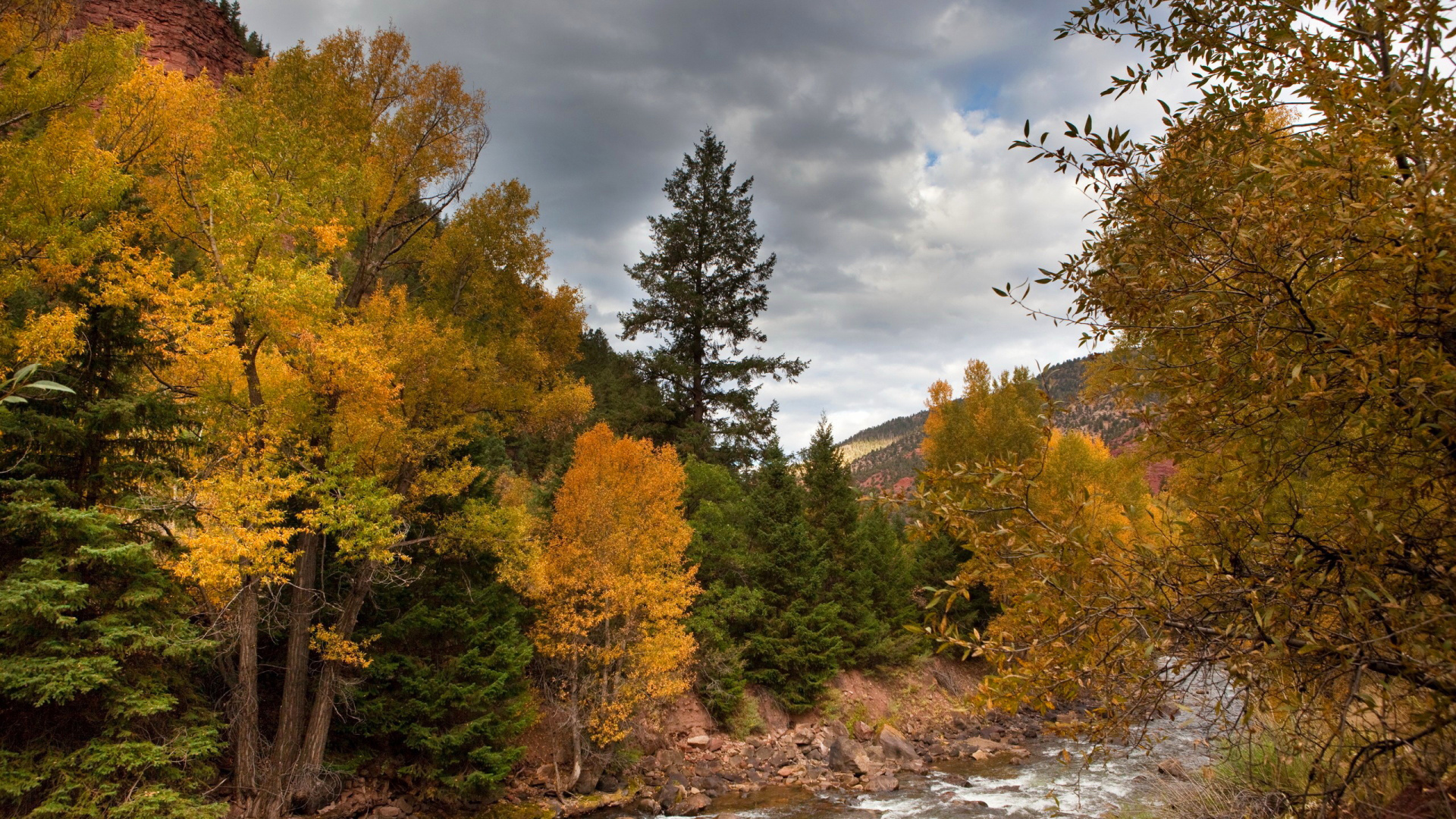 Green and Yellow Trees Beside River Under Cloudy Sky During Daytime. Wallpaper in 1920x1080 Resolution