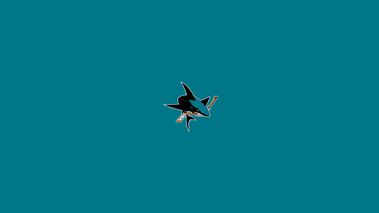 Weißer Und Schwarzer Vogel, Der in Den Himmel Fliegt. Wallpaper in 1280x720 Resolution