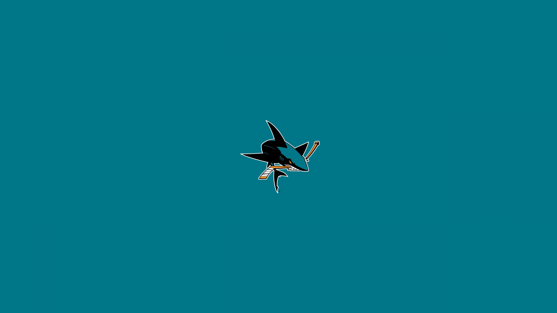 Weißer Und Schwarzer Vogel, Der in Den Himmel Fliegt. Wallpaper in 1920x1080 Resolution