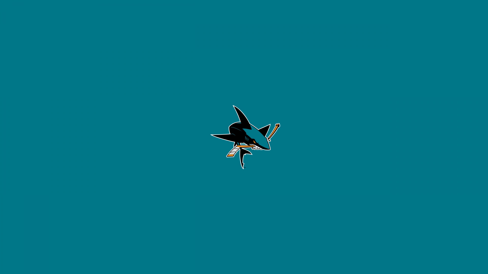 Pájaro Blanco y Negro Volando en el Cielo. Wallpaper in 1920x1080 Resolution