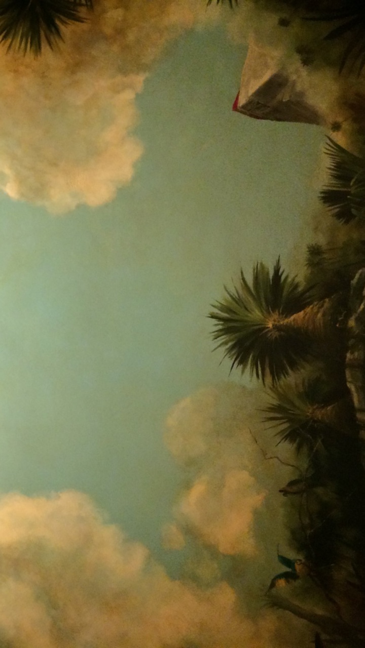 Cloud, Atmosphäre, Tageszeit, Wasser, Blatt. Wallpaper in 720x1280 Resolution