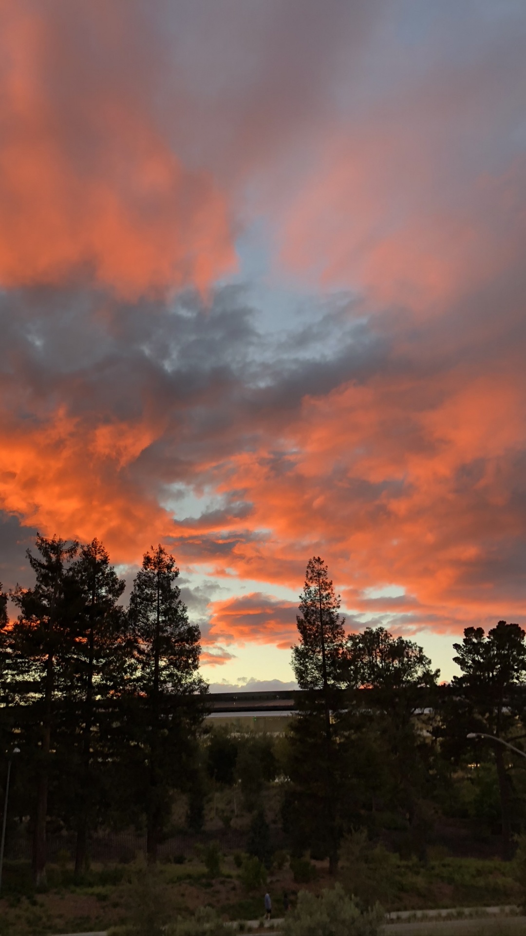 Body of Water, Road, Nature, Night, Vegetation. Wallpaper in 1080x1920 Resolution