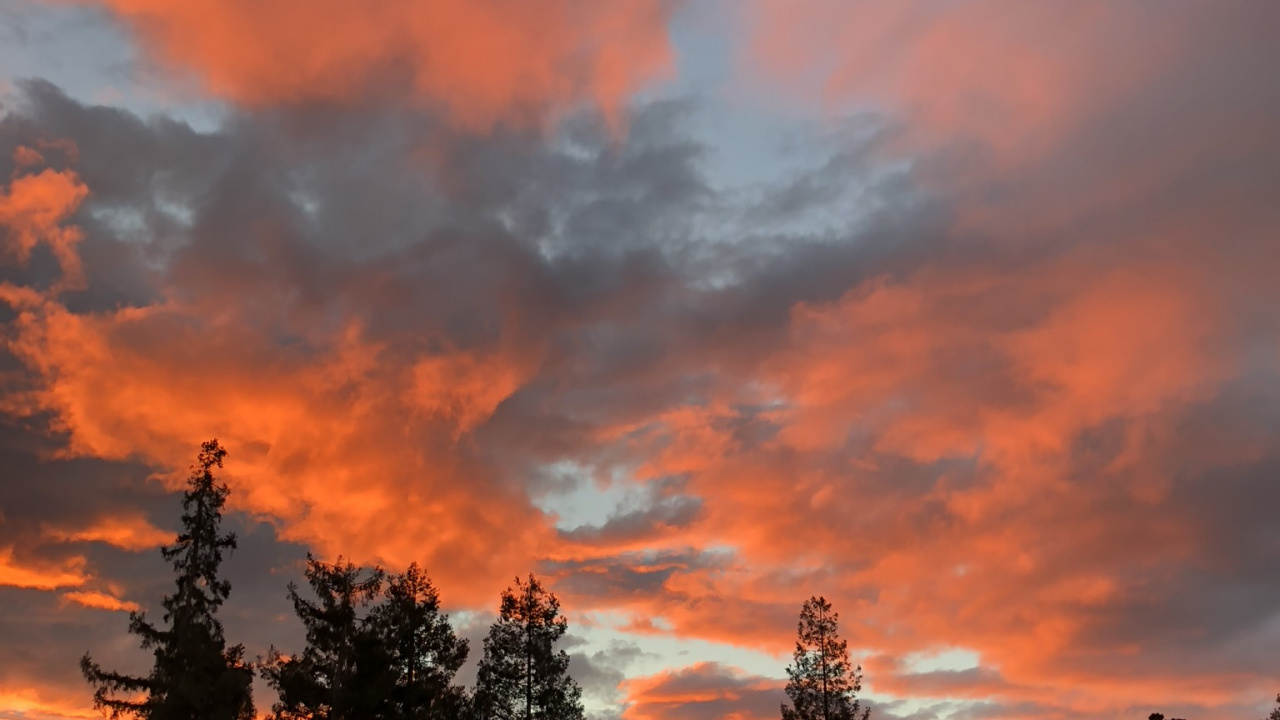 Body of Water, Road, Nature, Night, Vegetation. Wallpaper in 1280x720 Resolution