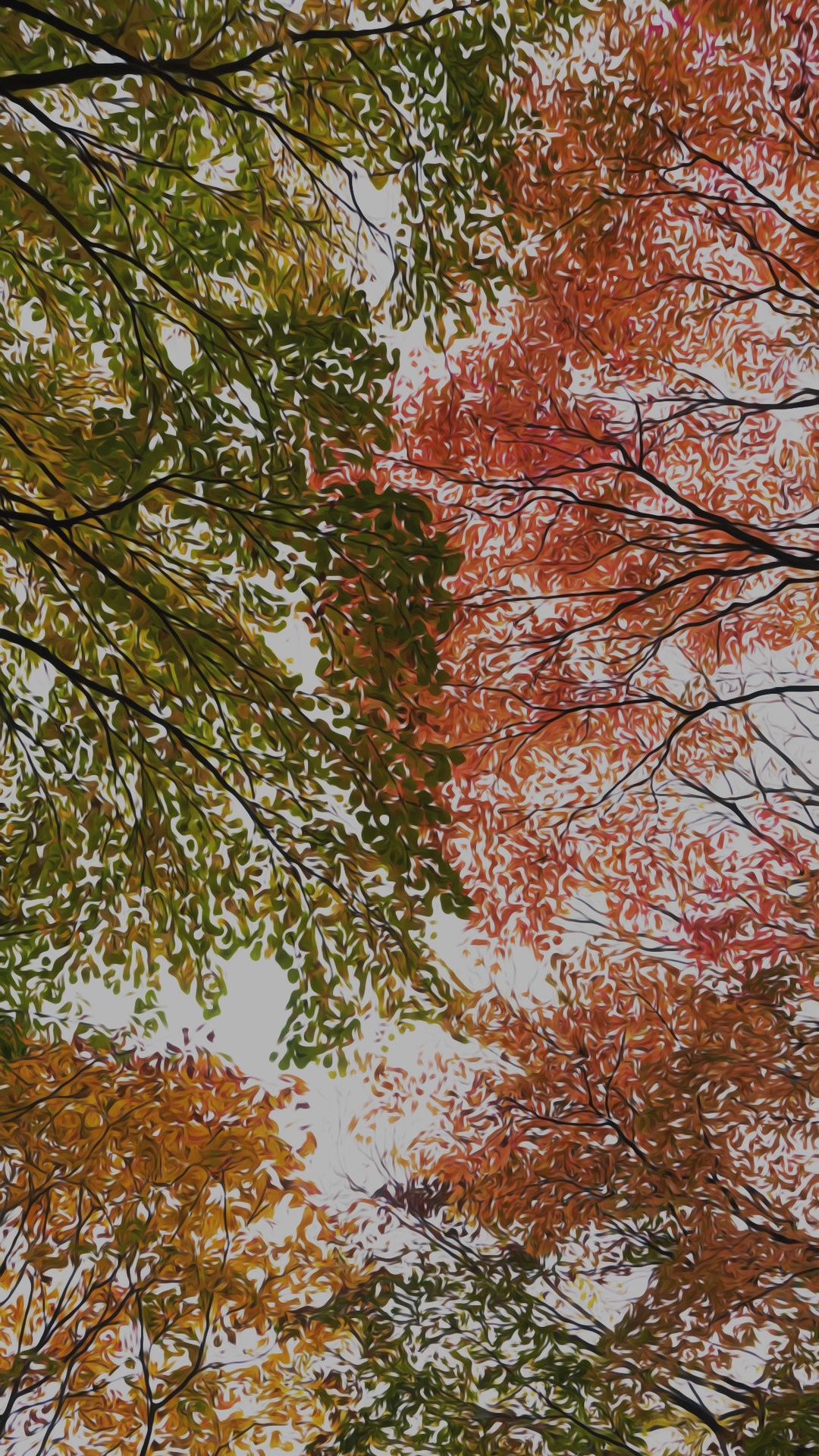 Blatt, Brown, Zweig, Naturlandschaft, Stamm. Wallpaper in 1080x1920 Resolution