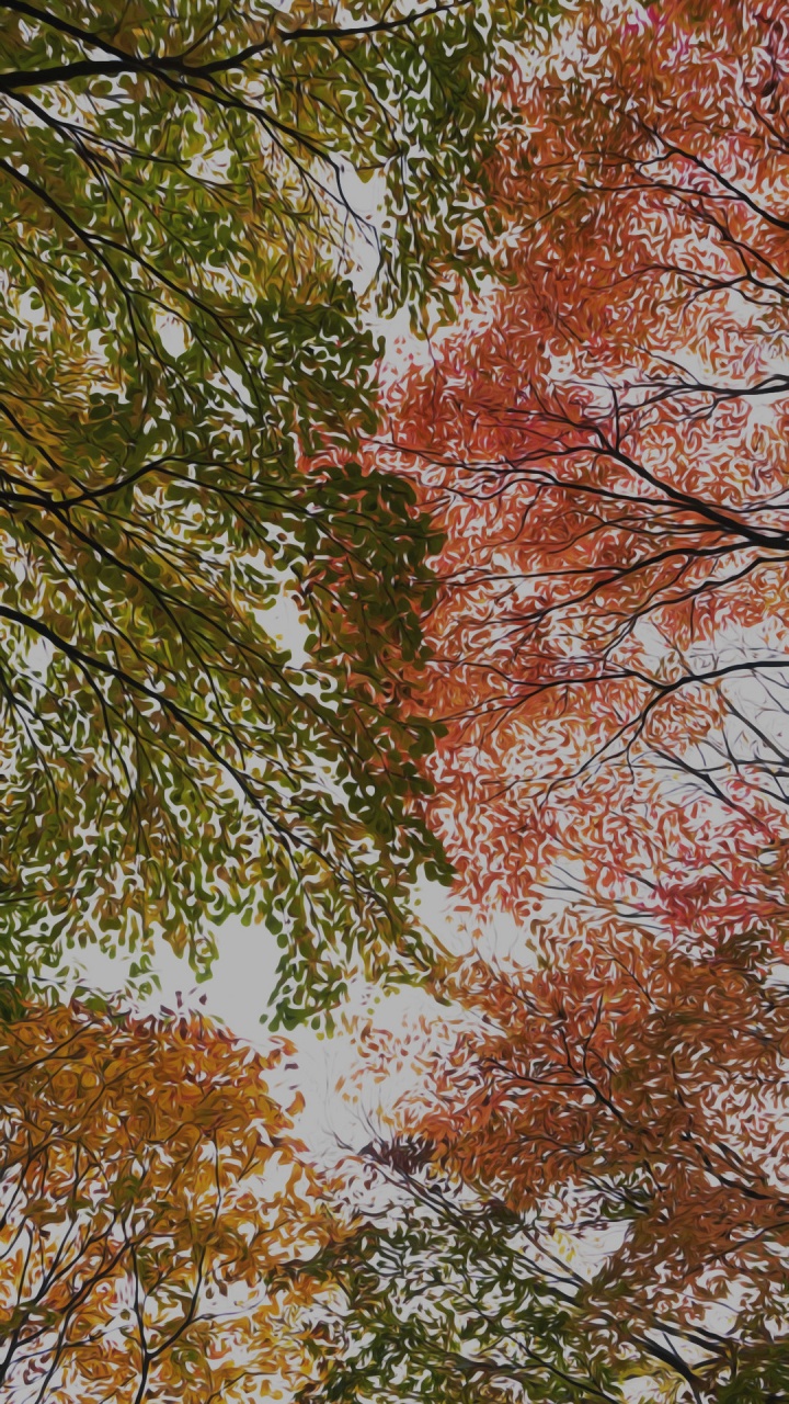 Leaf, Brown, Twig, Natural Landscape, Trunk. Wallpaper in 720x1280 Resolution