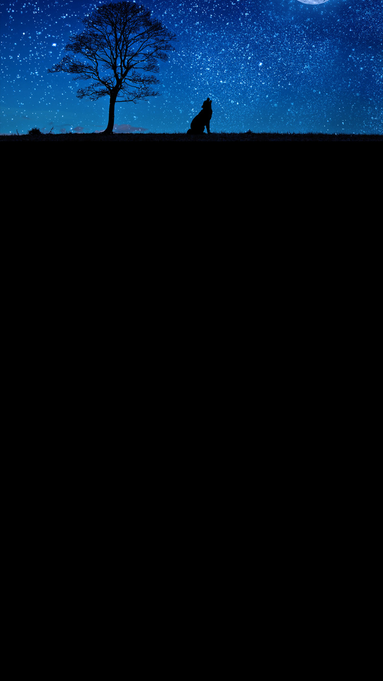 月亮, 蓝色的月亮, 气氛, 黑色的, 斜坡 壁纸 750x1334 允许