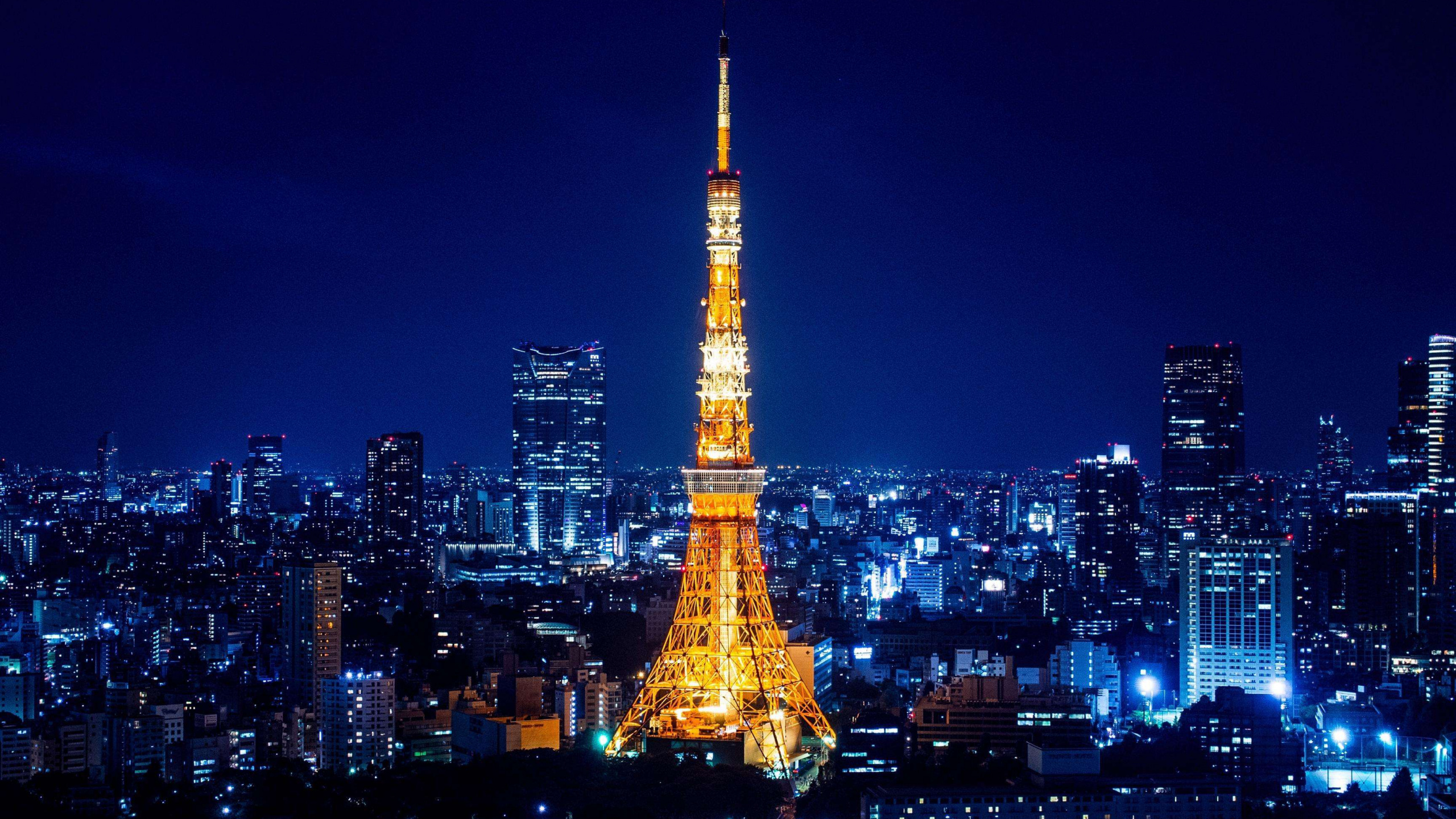 Eiffelturm in Paris Während Der Nacht. Wallpaper in 2560x1440 Resolution