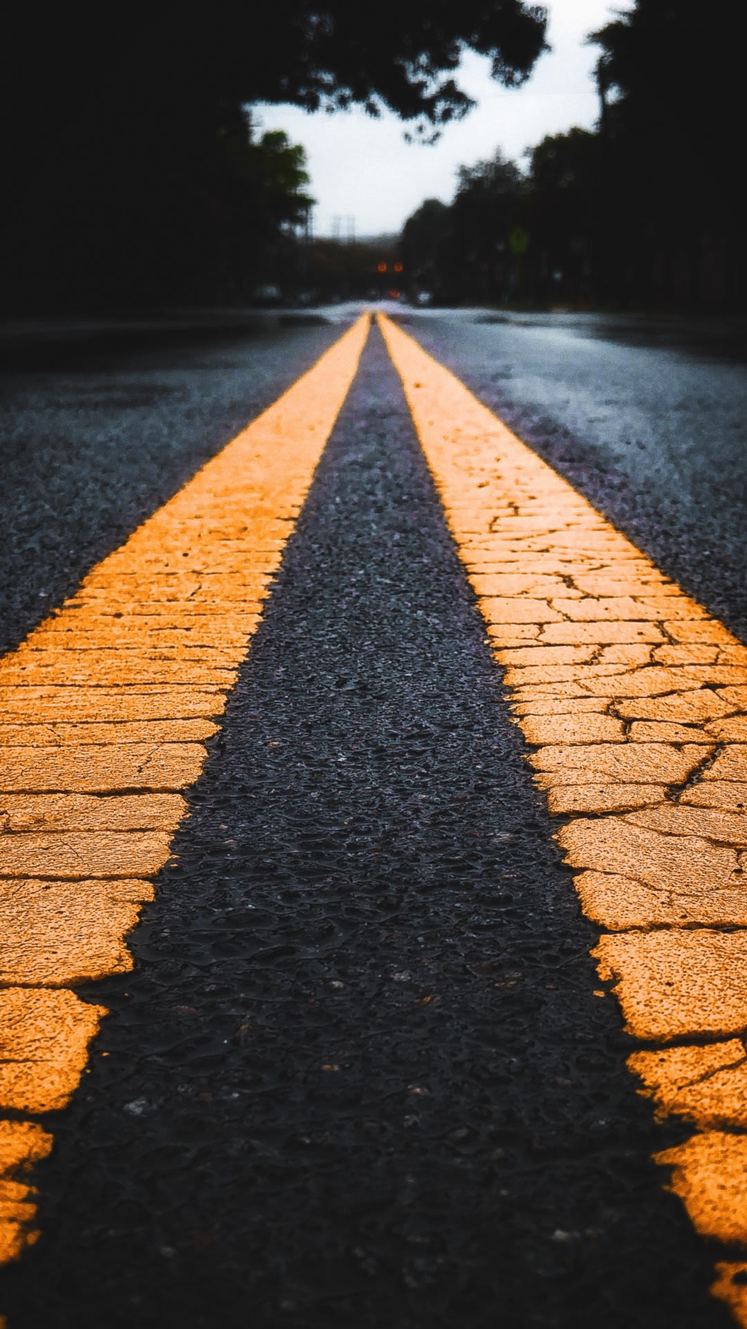 Eau, Surface de la Route, Asphalt, Artère. Wallpaper in 1080x1920 Resolution