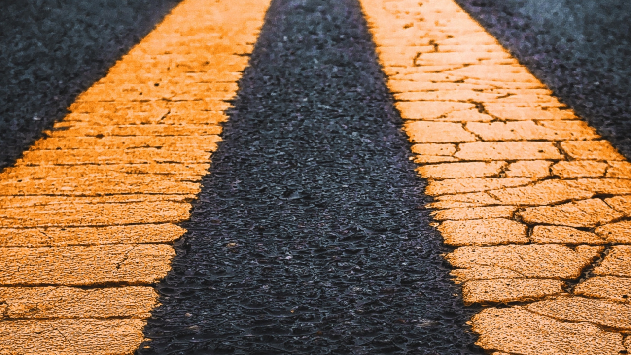 Water, Road Surface, Wood, Branch, Asphalt. Wallpaper in 1280x720 Resolution