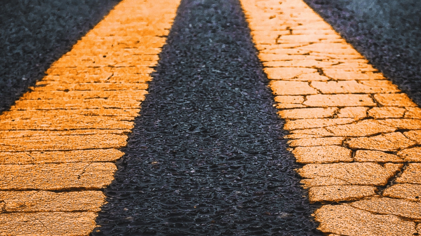 Water, Road Surface, Wood, Branch, Asphalt. Wallpaper in 1366x768 Resolution